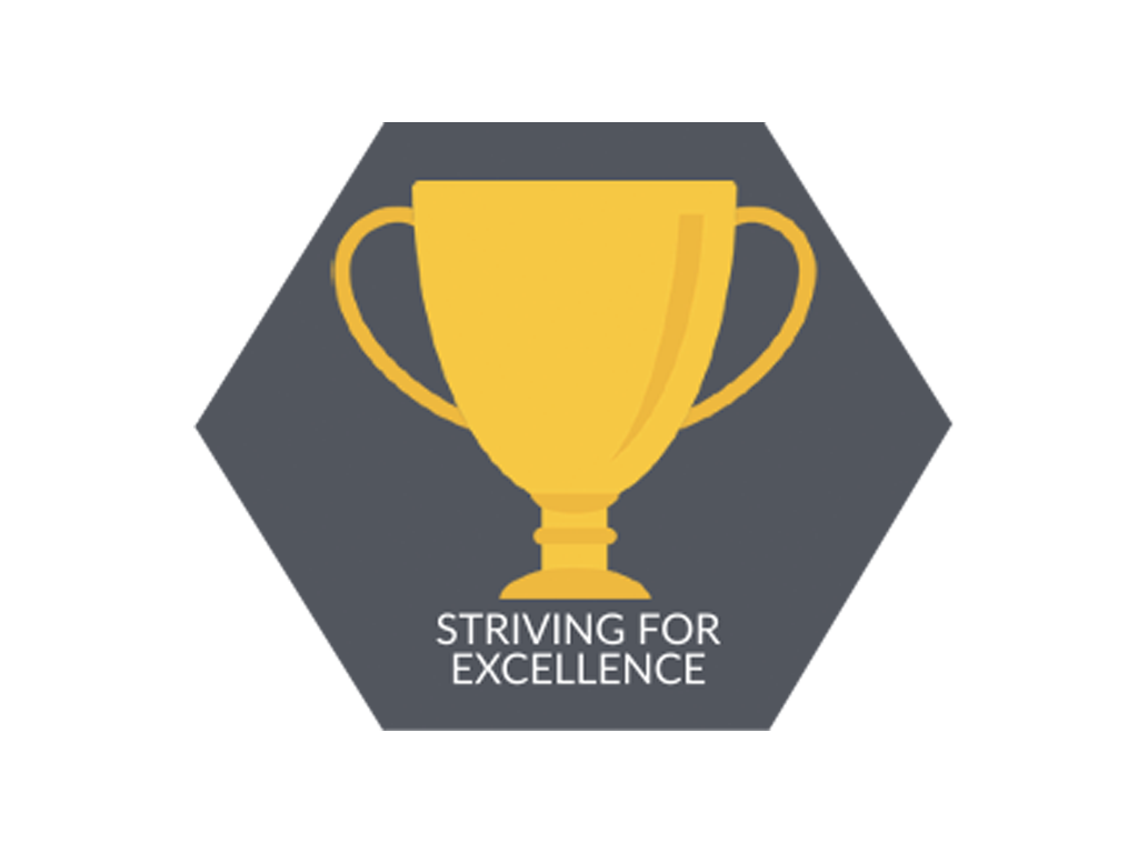 Striving for Excellence